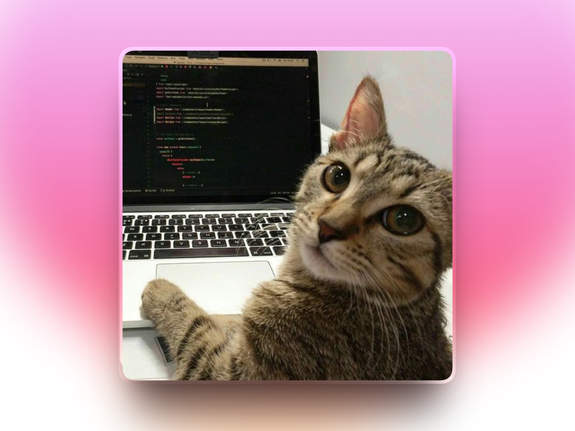 Laptop with app dashboard open
